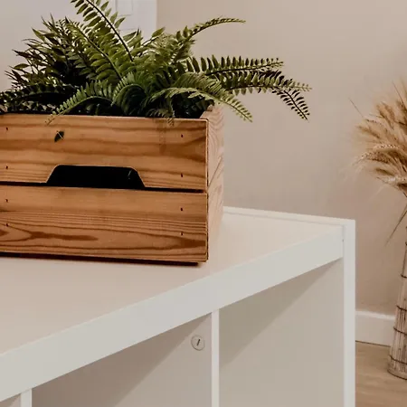Domus Eleonora Apartment Rome